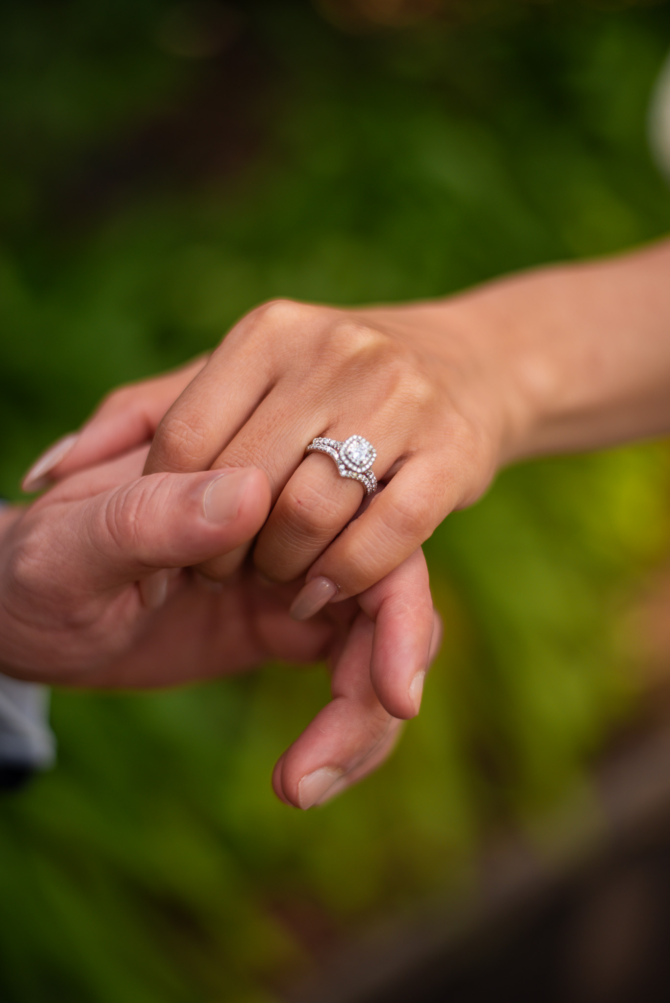 Natural engagement portraits in Royal Botanic Gardens Sydney