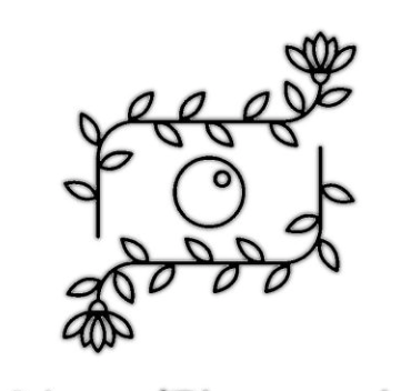 Your Photographer in Sydney